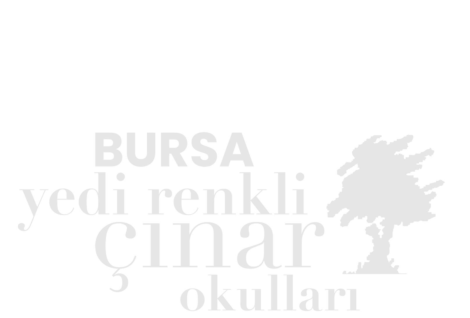 Bursa Yedi Renkli Çınar Okulları